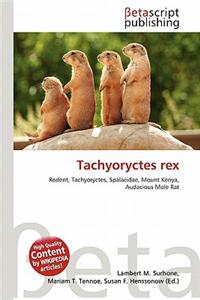Tachyoryctes Rex