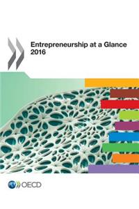 Entrepreneurship at a Glance 2016