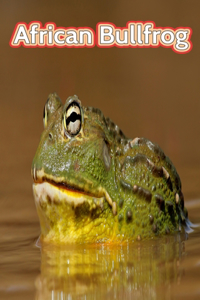 African Bullfrog: Facts Book (Fun Facts Book For Kids)