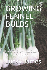Growing Fennel Bulbs