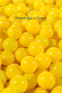 Chilometraggio e Consumi