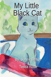 My Little Black Cat
