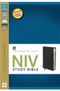 Study Bible-NIV