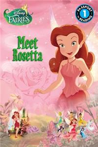 Disney Fairies: Meet Rosetta