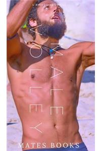 Beach Volley