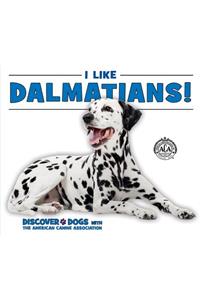 I Like Dalmatians!
