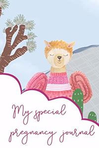 My Special Pregnancy Journal