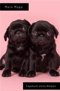 Mein Mops Tagebuch eines Welpen