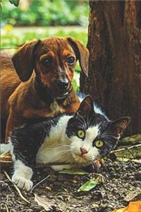 Dachshund Dog & Cat Lovers