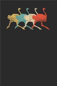 The Ostrich