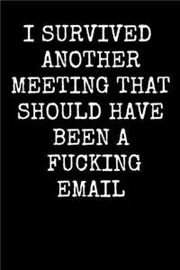I Survived Another Meeting That Should Have Been A Fucking Email