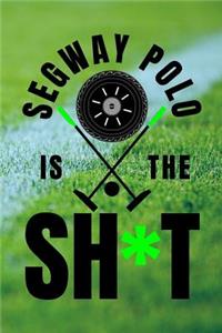 Segway Polo Is The Sh*t