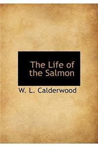 The Life of the Salmon