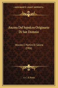 Ancora Del Sepolcro Originario Di San Domnio