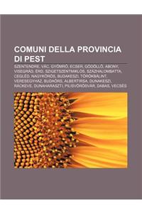 Comuni Della Provincia Di Pest
