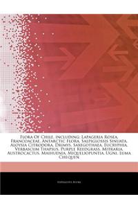 Articles on Flora of Chile, Including