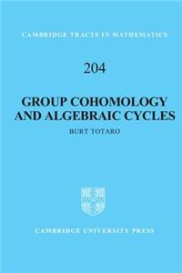 Group Cohomology and Algebraic Cycles