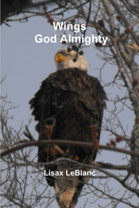Wings God Almighty
