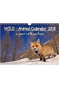 Wild - Animal Calendar 2018 / UK Version 2018