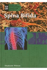 Spina Bifida