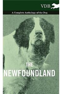 The Newfoundland - A Complete Anthology of the Dog