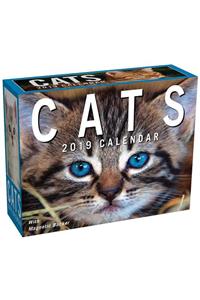 Cats 2019 Mini Day-To-Day Calendar