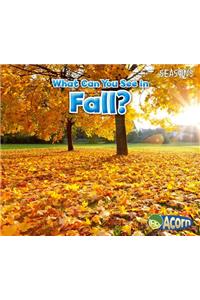 What Can You See in Fall?