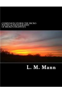 Companion Storm: The Micro-Poetry & Photography of Broken Highways