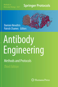 Antibody Engineering