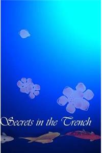 Secrets in the Trench