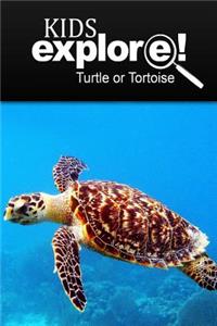 Turtle Or Tortoise - Kids Explore