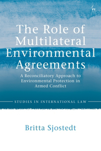 Role of Multilateral Environmental Agreements