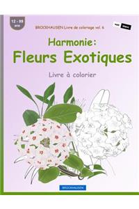 BROCKHAUSEN Livre de coloriage vol. 6 - Harmonie