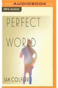 Perfect World