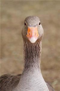 Goose Portrait Journal
