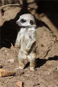 Baby Meerkat on Guard Duty Journal