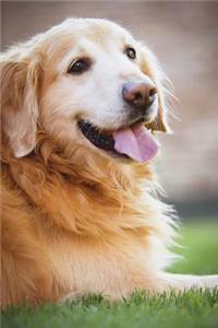 Happy Golden Retriever Dog Journal