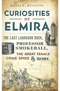 Curiosities of Elmira