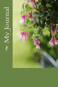 My Journal