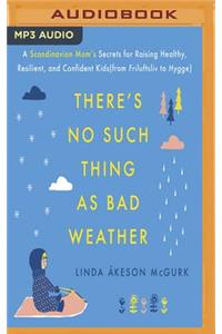 There's No Such Thing as Bad Weather