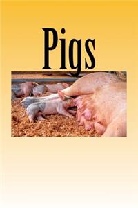 Pigs: notebook / journal