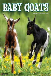 Baby Goats 2026 12 X 12 Wall Calendar