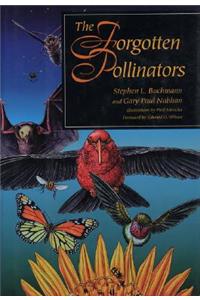 Forgotten Pollinators