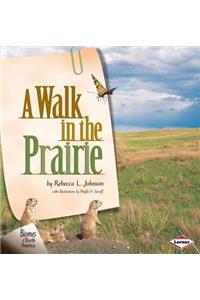 A Walk in the Prairie