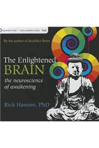 The Enlightened Brain