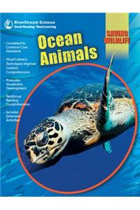 Ocean Animals