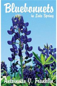 Bluebonnets in Late Spring