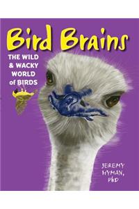 Bird Brains