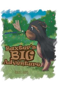 Baxter's Big Adventure