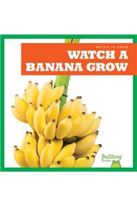 Watch a Banana Grow